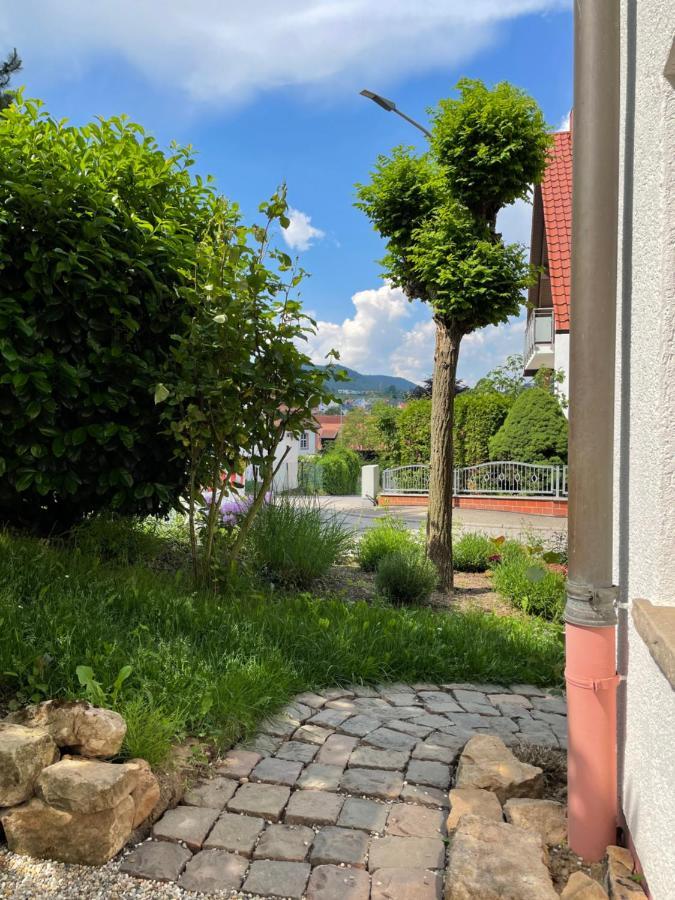 Ferienwohnung Wanderlust Klingenmünster 外观 照片